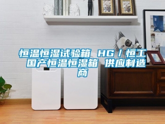 知識(shí)百科恒溫恒濕試驗(yàn)箱 HG／恒工 國(guó)產(chǎn)恒溫恒濕箱 供應(yīng)制造商