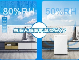 行業(yè)新聞回南天梅雨季潮濕惱人？