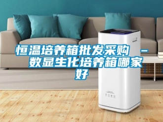 知識百科恒溫培養(yǎng)箱批發(fā)采購 – 數(shù)顯生化培養(yǎng)箱哪家好
