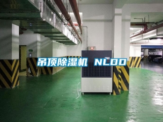企業(yè)新聞吊頂除濕機(jī) NLDD