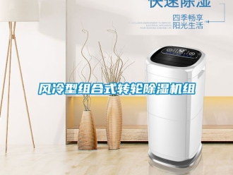 常見問題風(fēng)冷型組合式轉(zhuǎn)輪除濕機(jī)組