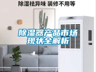 行業(yè)新聞除濕器產(chǎn)品市場現(xiàn)狀全解析