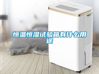 知識百科恒溫恒濕試驗(yàn)箱有什么用途