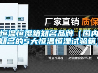 知識(shí)百科恒溫恒濕箱知名品牌（國內(nèi)知名的5大恒溫恒濕試驗(yàn)箱）