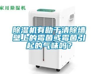 行業(yè)新聞除濕機有助于清除墻壁上的霉菌或霉菌引起的氣味嗎？