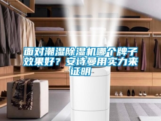 行業(yè)新聞面對潮濕除濕機哪個牌子效果好？安詩曼用實力來證明