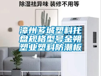 常見問題漳州薌城塑料托盤規(guī)格型號金朔塑業(yè)塑料防潮板