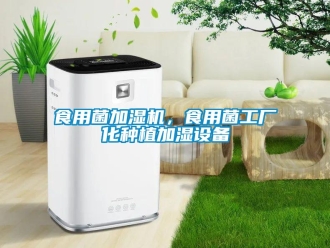 知識百科食用菌加濕機，食用菌工廠化種植加濕設(shè)備