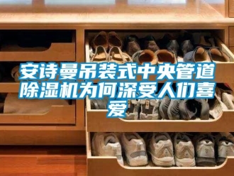 企業(yè)新聞安詩曼吊裝式中央管道除濕機(jī)為何深受人們喜愛