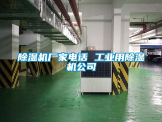 企業(yè)新聞除濕機(jī)廠家電話 工業(yè)用除濕機(jī)公司