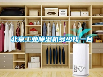 常見(jiàn)問(wèn)題北京工業(yè)除濕機(jī)多少錢(qián)一臺(tái)