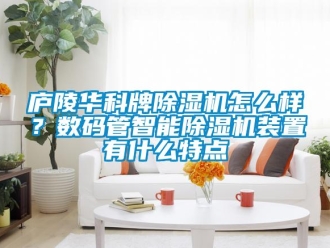 行業(yè)新聞廬陵華科牌除濕機(jī)怎么樣？數(shù)碼管智能除濕機(jī)裝置有什么特點(diǎn)