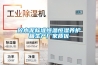 砼水泥標(biāo)準(zhǔn)恒溫恒濕養(yǎng)護(hù)箱生產(chǎn)廠家質(zhì)優(yōu)