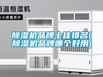 企業(yè)新聞除濕機品牌十佳排名(除濕機品牌哪個好用)