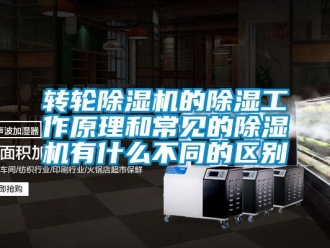 常見(jiàn)問(wèn)題轉(zhuǎn)輪除濕機(jī)的除濕工作原理和常見(jiàn)的除濕機(jī)有什么不同的區(qū)別