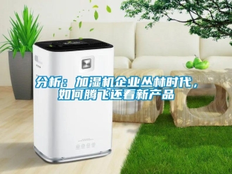 常見(jiàn)問(wèn)題分析：加濕機(jī)企業(yè)叢林時(shí)代，如何騰飛還看新產(chǎn)品