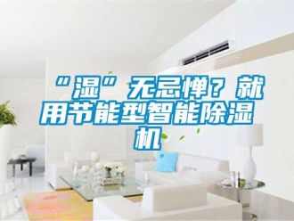 常見問題“濕”無忌憚？就用節(jié)能型智能除濕機