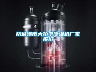 企業(yè)新聞防城港市大功率除濕機(jī)廠家報價