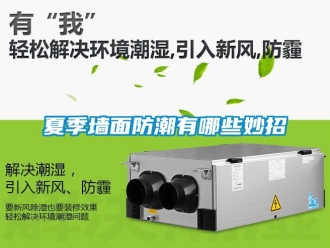 常見問題夏季墻面防潮有哪些妙招