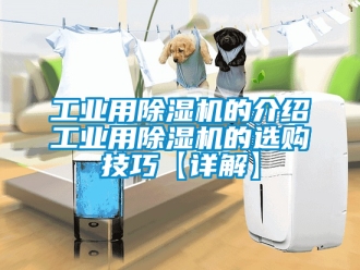 常見問題工業(yè)用除濕機(jī)的介紹工業(yè)用除濕機(jī)的選購技巧【詳解】