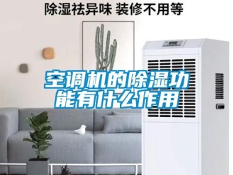 行業(yè)新聞空調(diào)機(jī)的除濕功能有什么作用