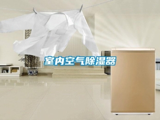 行業(yè)新聞室內空氣除濕器