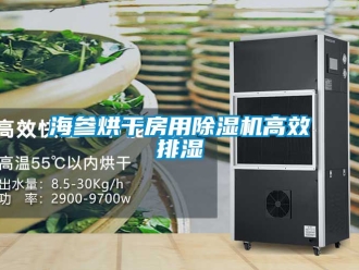行業(yè)新聞海參烘干房用除濕機高效排濕