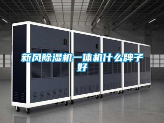 知識(shí)百科新風(fēng)除濕機(jī)一體機(jī)什么牌子好