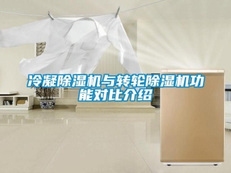 行業(yè)新聞冷凝除濕機(jī)與轉(zhuǎn)輪除濕機(jī)功能對(duì)比介紹
