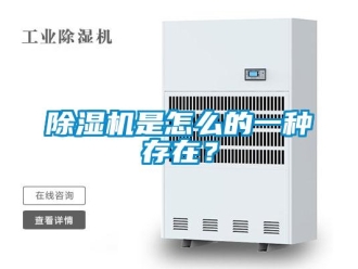 常見問題除濕機(jī)是怎么的一種存在？