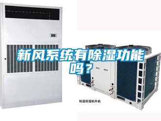 行業(yè)新聞新風(fēng)系統(tǒng)有除濕功能嗎？