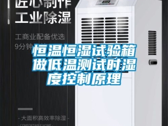 知識(shí)百科恒溫恒濕試驗(yàn)箱做低溫測(cè)試時(shí)濕度控制原理