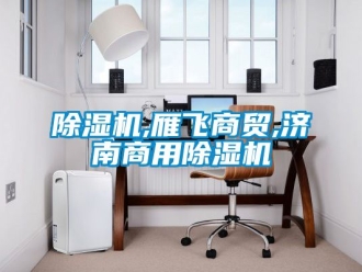常見問題除濕機(jī),雁飛商貿(mào),濟(jì)南商用除濕機(jī)