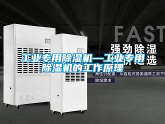 常見(jiàn)問(wèn)題工業(yè)專(zhuān)用除濕機(jī)—工業(yè)專(zhuān)用除濕機(jī)的工作原理
