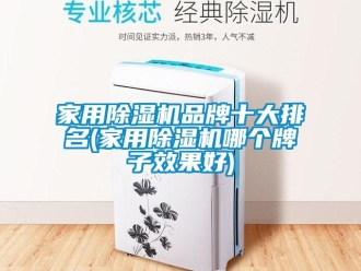 企業(yè)新聞家用除濕機品牌十大排名(家用除濕機哪個牌子效果好)