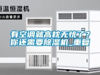 行業(yè)新聞?dòng)锌照{(diào)就高枕無憂了？你還需要除濕機(jī)_重復(fù)