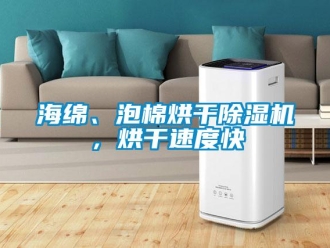 行業(yè)新聞海綿、泡棉烘干除濕機，烘干速度快