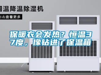 常見(jiàn)問(wèn)題保暖衣會(huì)發(fā)熱？恒溫37度，像鉆進(jìn)了保溫箱
