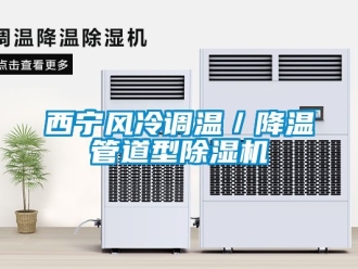 行業(yè)新聞西寧風(fēng)冷調(diào)溫／降溫管道型除濕機