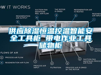 知識百科供應除濕恒溫控溫智能安全工具柜 帶電作業(yè)工具儲物柜