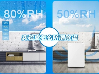 常見(jiàn)問(wèn)題實(shí)驗(yàn)室怎么防潮除濕