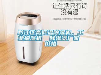企業(yè)新聞黔江區(qū)高低溫除濕機(jī)，工業(yè)抽濕機(jī)  除濕器廠家 價格
