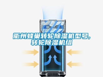 常見問題衢州蜂巢轉(zhuǎn)輪除濕機(jī)型號,轉(zhuǎn)輪除濕機(jī)組