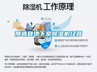 行業(yè)新聞那坡縣地下室除濕機(jī)經(jīng)營部