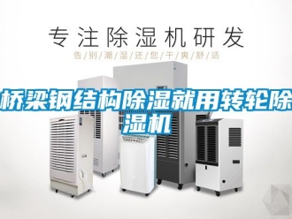 常見問題橋梁鋼結(jié)構(gòu)除濕就用轉(zhuǎn)輪除濕機(jī)
