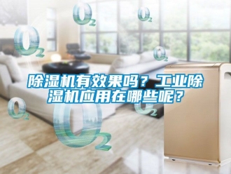 常見問題除濕機(jī)有效果嗎？工業(yè)除濕機(jī)應(yīng)用在哪些呢？