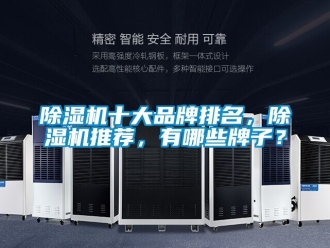 企業(yè)新聞除濕機(jī)十大品牌排名，除濕機(jī)推薦，有哪些牌子？