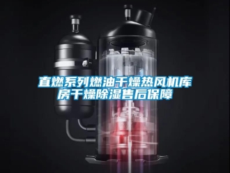 行業(yè)新聞直燃系列燃油干燥熱風機庫房干燥除濕售后保障