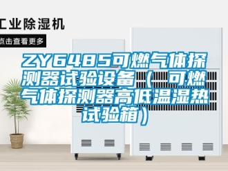 常見問題ZY6485可燃氣體探測器試驗設備（ 可燃氣體探測器高低溫濕熱試驗箱）