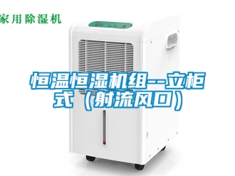 知識(shí)百科恒溫恒濕機(jī)組--立柜式（射流風(fēng)口）